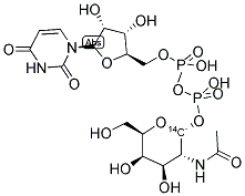 URIDINE DIPHOSPHATE N-ACETYL-D-GALACTOSAMINE, [ACETYL-14C] Struktur