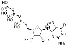 GUANOSINE 5'-TRIPHOSPHATE RESIN Struktur