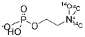 PHOSPHORYLCHOLINE, [METHYL-14C] Struktur