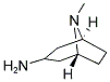 8-METHYL-8-AZABICYCLO[3.2.1]OCTAN-3-AMINE Struktur