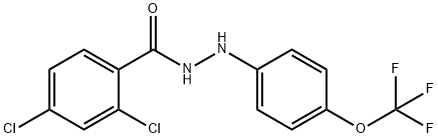 2,4-DICHLORO-N'-[4-(TRIFLUOROMETHOXY)PHENYL]BENZENECARBOHYDRAZIDE Struktur