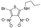 N2-BUTYL-5-BROMO-3,4-DINITROTHIOPHEN-2-AMINE Struktur