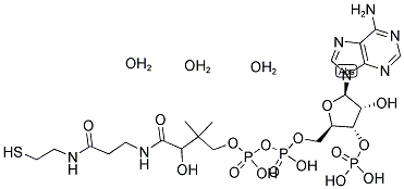 COENZYME A TRIHYDRATE Struktur