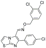 CITCO Struktur