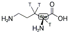 ORNITHINE, L-, [2,3-3H] Struktur
