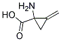 1-AMINO-2-METHYLENE-CYCLOPROPANECARBOXYLIC ACID Struktur