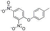 2,4-DINITRO-1-(P-TOLYLOXY)BENZENE Struktur