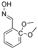 2,2-DIMETHOXY-BENZALDEHYDE OXIME Struktur