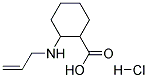 2-ALLYLAMINO-CYCLOHEXANECARBOXYLIC ACID HYDROCHLORIDE Struktur