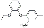 2-(2-ETHOXYPHENOXY)-5-METHYLANILINE Struktur