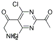 2,5-diacetylamino-4.6-dichloropyrimidine Struktur