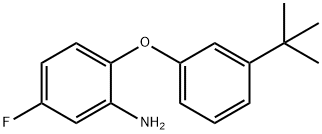 2-[3-(TERT-BUTYL)PHENOXY]-5-FLUOROPHENYLAMINE Struktur