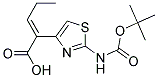 2-(2-tert-butoxycarbonylaminothiazol-4-yl)-2-pentenoic acid Struktur