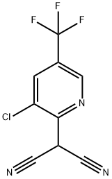 2-[3-Chloro-5-(trifluoromethyl)pyridin-2-yl]malononitrile Struktur