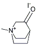 1-METHYL-3-OXOQUINUCLIDIUM IODIDE Struktur