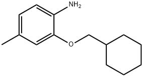 2-(CYCLOHEXYLMETHOXY)-4-METHYLANILINE Struktur