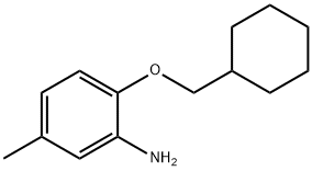 2-(CYCLOHEXYLMETHOXY)-5-METHYLANILINE Struktur