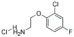 2-(2-CHLORO-4-FLUOROPHENOXY)ETHYLAMINE HYDROCHLORIDE Struktur