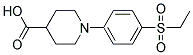 1-[4-(Ethylsulfonyl)phenyl]piperdine-4-carboxylicacid Struktur