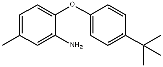 2-[4-(TERT-BUTYL)PHENOXY]-5-METHYLPHENYLAMINE Struktur