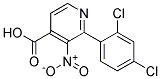 2-(2,4-DICHLOROPHENYL)-3-NITRO-4-PYRIDINECARBOXYLIC ACID Struktur