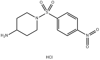 1-(4-NITRO-BENZENESULFONYL)-PIPERIDIN-4-YLAMINE HYDROCHLORIDE Struktur