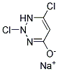 2,4-DICHLORO-6-HYDROXY TRIAZINE SODIUM SALT Struktur