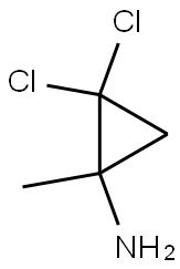 2,2-DICHLORO-1-METHYLCYCLOPROPANAMINE Struktur