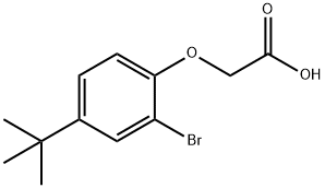 2-[2-BROMO-4-(TERT-BUTYL)PHENOXY]ACETIC ACID Struktur