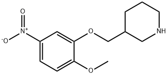 2-METHOXY-5-NITROPHENYL 3-PIPERIDINYLMETHYL ETHER Struktur