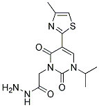 1-Isopropyl-5-(4-methyl-1,3-thiazol-2-yl)uracil-3-acetic acid hydrazide Struktur