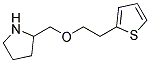 2-{[2-(2-THIENYL)ETHOXY]METHYL}PYRROLIDINE Struktur