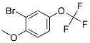 2-BROMO-4-(TRIFLUOROMETHOXY)ANISOLE Struktur