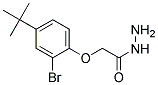 (2-BROMO-4-TERT-BUTYL-PHENOXY)-ACETIC ACID HYDRAZIDE Struktur