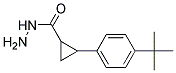 2-(4-TERT-BUTYLPHENYL)CYCLOPROPANECARBOXYLICACID HYDRAZIDE Struktur