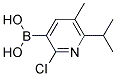 2-Chloro-5-methyl-6-Isopropylpyridine-3-Boronic acid Struktur