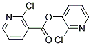 2-CHLORO-3-PYRIDYL 2-CHLORONICOTINATE, TECH Struktur