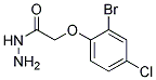 (2-BROMO-4-CHLORO-PHENOXY)-ACETIC ACID HYDRAZIDE Struktur