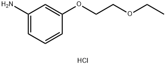 3-(2-ETHOXYETHOXY)ANILINE HYDROCHLORIDE Struktur