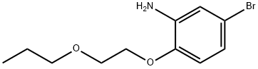 5-BROMO-2-(2-PROPOXYETHOXY)ANILINE Struktur