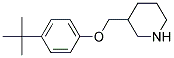 4-(TERT-BUTYL)PHENYL 3-PIPERIDINYLMETHYL ETHER Struktur