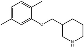 3-[(2,5-DIMETHYLPHENOXY)METHYL]PIPERIDINE Struktur