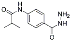 N-(4-HYDRAZINOCARBONYL-PHENYL)-ISOBUTYRAMIDE Struktur