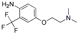 N-(2-[4-AMINO-3-(TRIFLUOROMETHYL)PHENOXY]ETHYL)-N,N-DIMETHYLAMINE Struktur