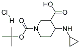 4-CYCLOPROPYLAMINO-PIPERIDINE-1,3-DICARBOXYLIC ACID 1-TERT-BUTYL ESTER HYDROCHLORIDE Struktur