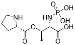 ANTI-PHOSPHOTHREONINE-PROLINE Struktur