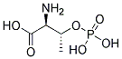 ANTI-PHOSPHOTHREONINE Struktur