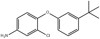 4-[3-(TERT-BUTYL)PHENOXY]-3-CHLOROPHENYLAMINE Struktur