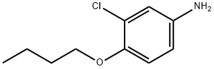 4-BUTOXY-3-CHLOROANILINE Struktur