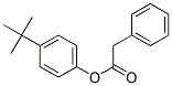 4-TERT-BUTYLPHENYL PHENYLACETATE Struktur